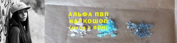 jwh Богородицк